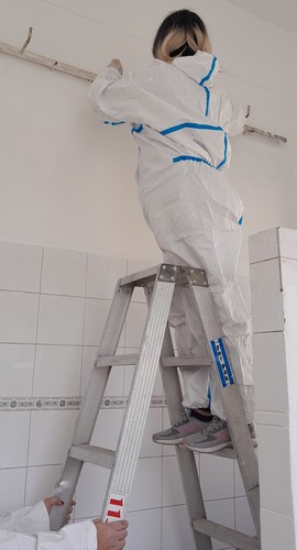 Pintura Arauz